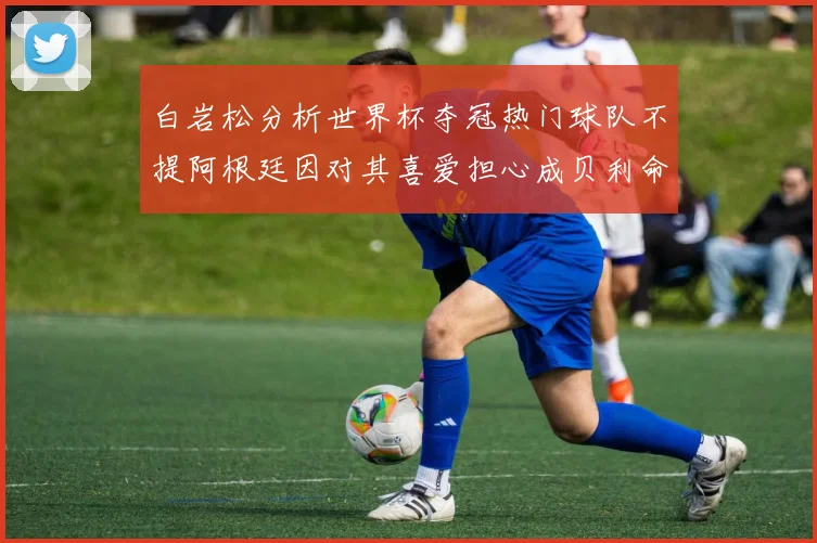 白岩松分析世界杯夺冠热门球队不提阿根廷因对其喜爱担心成贝利命运
